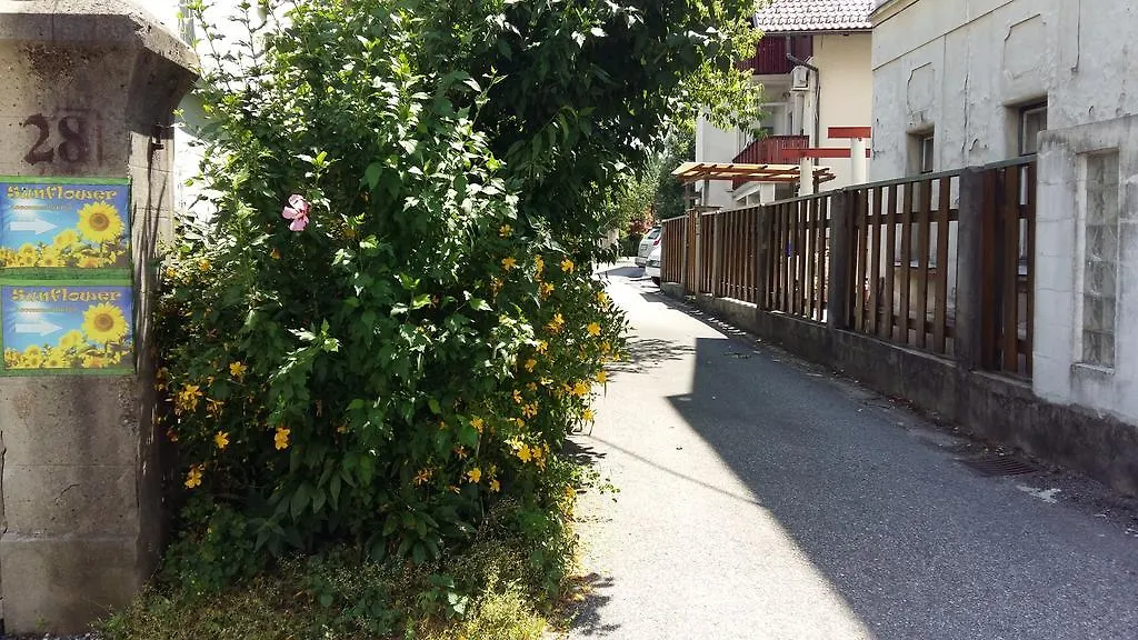 Sunflower Accommodation-1