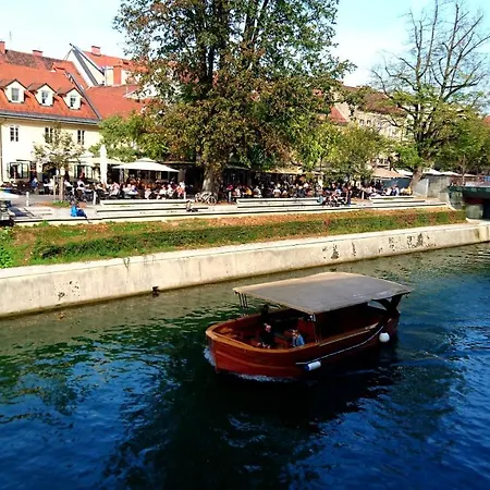 Petkovsek Rooms And Apartments-3