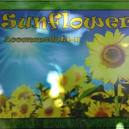 Sunflower Accommodation-3